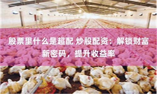 股票里什么是超配 炒股配资：解锁财富新密码，提升收益率